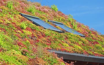 Staddlethorpe living roof systems