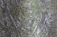 Staddlethorpe fibreglass roof work